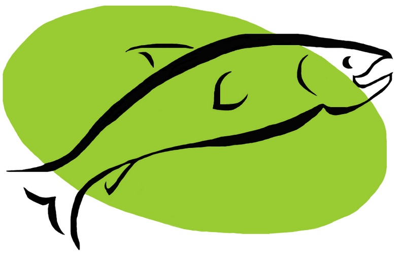 Hong Kong Apartments Coho Real Estate Group